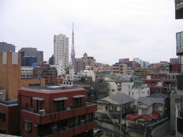 'A view in Tokyo'