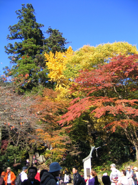 'Mount Takao during Autumn'
