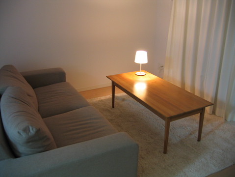 'The lounge in my apartment'