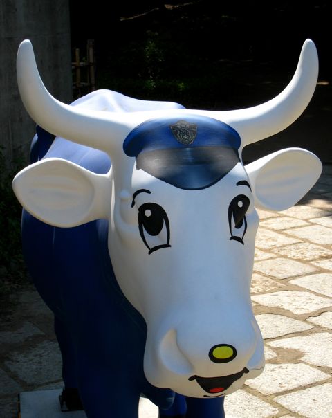 'Close-up of cow number 4'