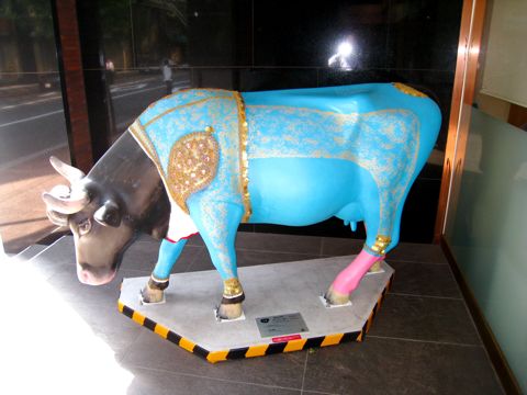 'Cow number 13'