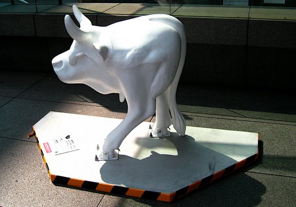 'Cow number 17'