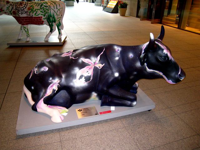 'Cow number 20'