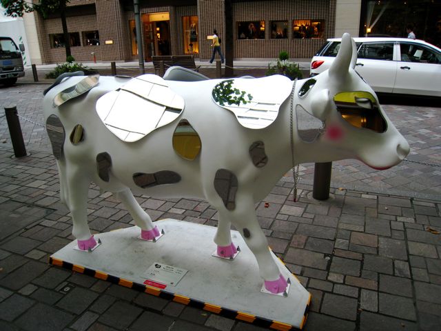 'Cow number 22'