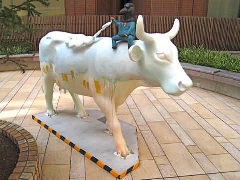 'Cow number 24'