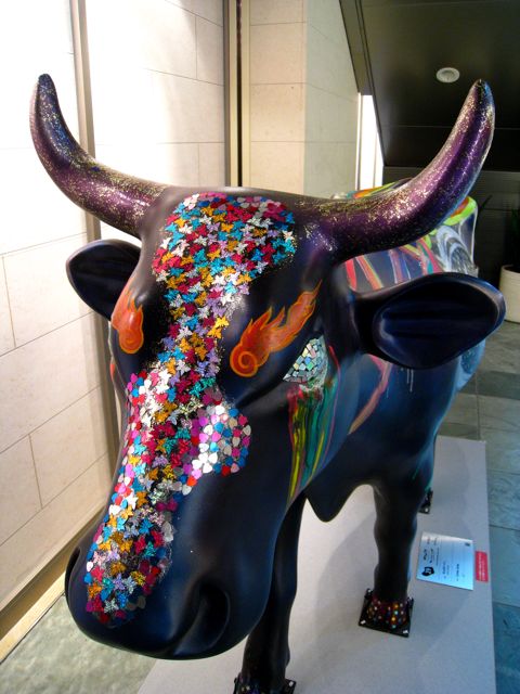 'Close-up of cow number 29'