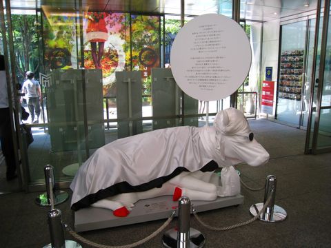 'Cow number 36'