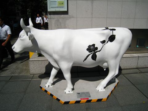 'Cow number 46'