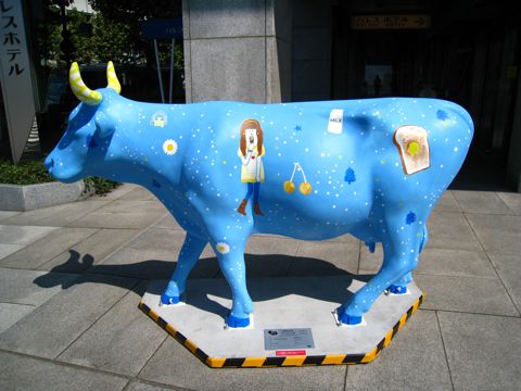 'Cow number 51'