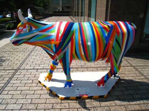 'Cow number 53'