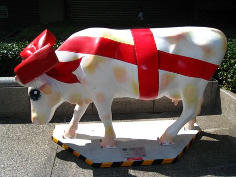 'Cow number 55'