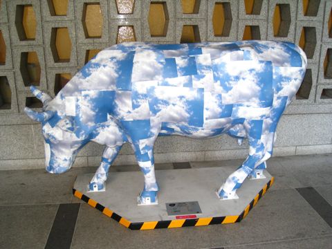 'Cow number 56'
