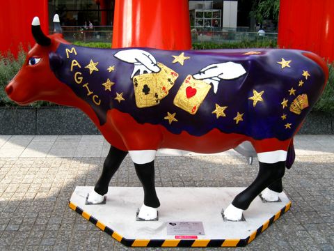 'Cow number 58'