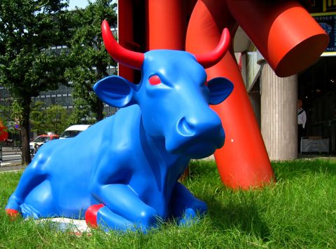 'Close-up of cow number 60'