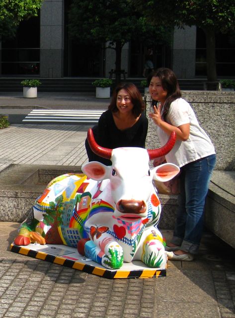 'Girls posing with cow number 62'
