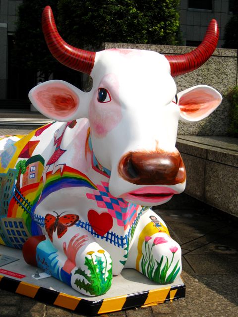 'Close-up of cow number 62'