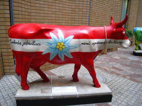'Austrian Cow'