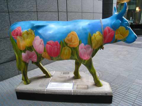 'Dutch Cow'