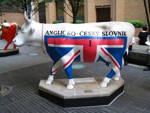 'British Cow'