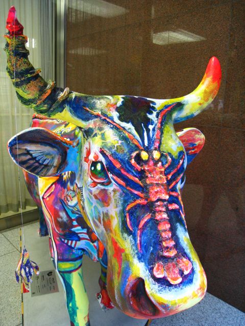 'Close-up of cow number 10'