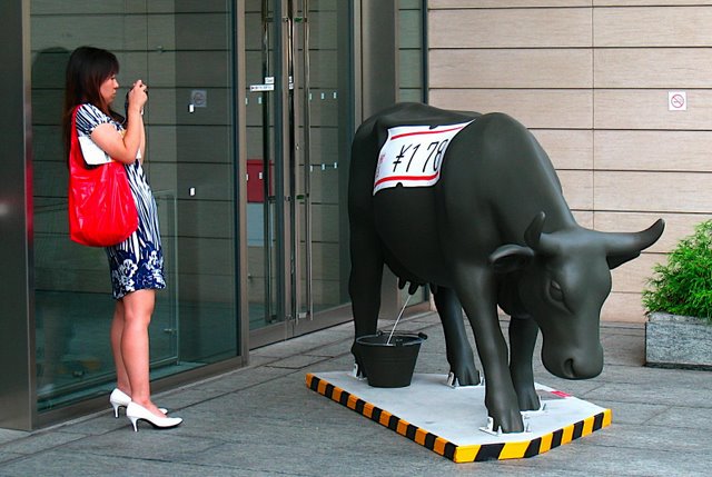 'A woman photographing cow 30'
