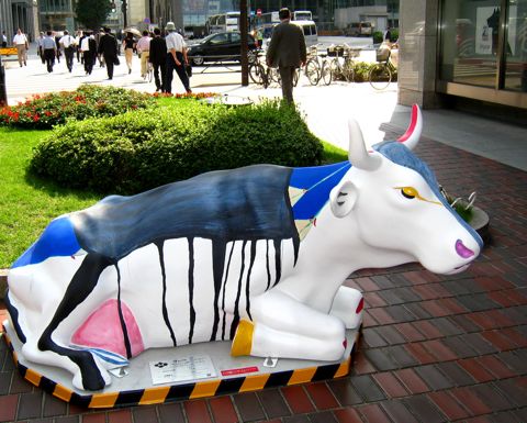 'Cow number 64'