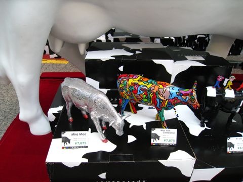 'Cows for sale - closeup'